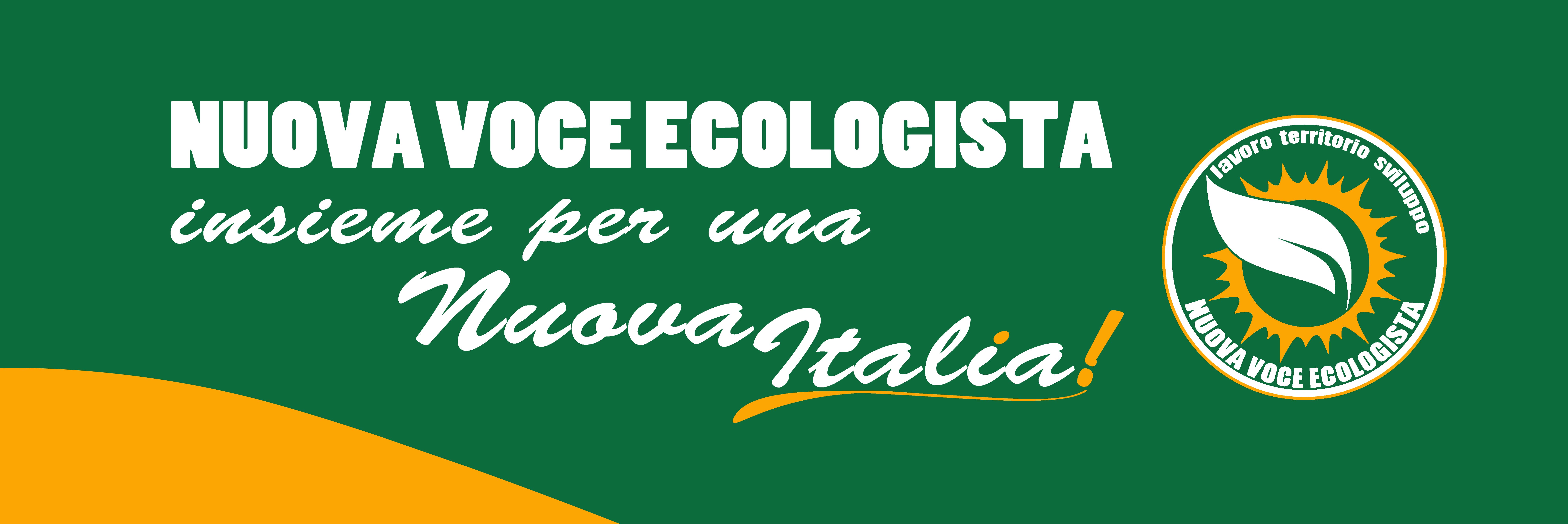 insieme per una nuova Italia.jpg